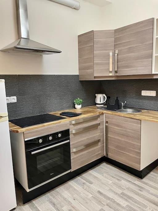 Appartement With Terrace In Center Prague